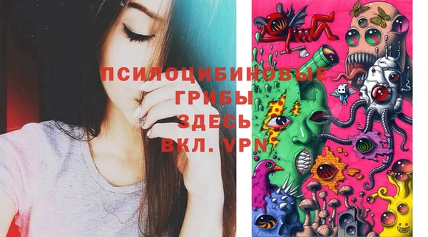 эйфоретик Горно-Алтайск