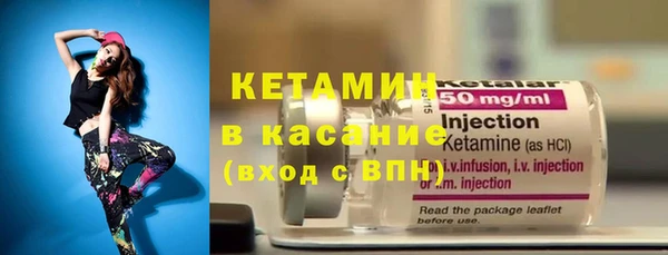 сатива Гусев
