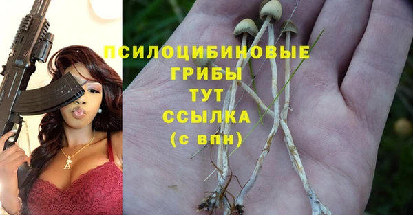 эйфоретик Горно-Алтайск