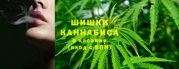 сатива Гусев