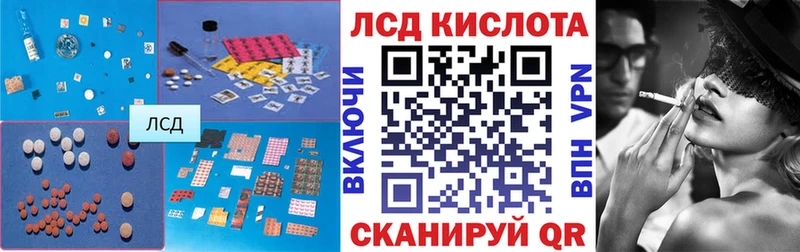 дарнет шоп  Жирновск  ЛСД экстази кислота 