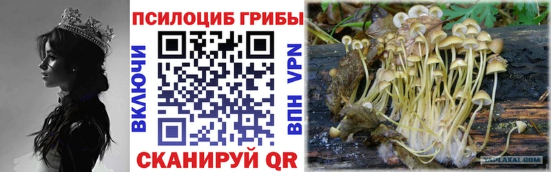 Псилоцибиновые грибы MAGIC MUSHROOMS  Жирновск 